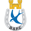 لوگوی Dungannon Swifts