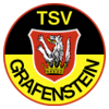 لوگوی TSV گرافینستین