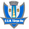 لوگوی تارگو جیو CSM
