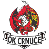 لوگوی Crnuce ACH