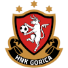 لوگوی HNK Gorica