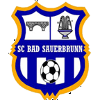 لوگوی Bad Sauerbrunn