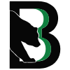لوگوی Binghamton Black Bears