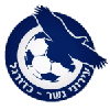 لوگوی Ironi Nesher
