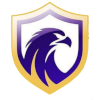 لوگوی Falcon U20