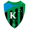 لوگوی Kocaelispor