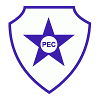 لوگوی Pinheirense