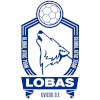 لوگوی Oviedo BM (Women)