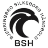 لوگوی Bjerringbro