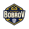 لوگوی Bobrov Division