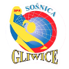 لوگوی Sosnica Gliwice II (Women)
