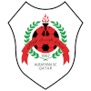 لوگوی الریان