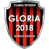 لوگوی CS Gloria Bistrita