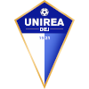 لوگوی Unirea Dej