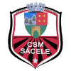 لوگوی CSM Sacele