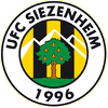 لوگوی Siezenheim