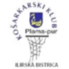 لوگوی KK Plama Pur