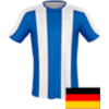 لوگوی SSV Bornheim
