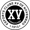 لوگوی XV پیراسیسابا U20