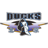 لوگوی Beijing Shougang Ducks