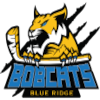 لوگوی Blue Ridge Bobcats