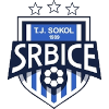 لوگوی Sokol Srbice