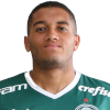 تصویر Gabriel dos Santos da Silva
