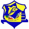 لوگوی Ngozi City