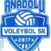 لوگوی Anadolu
