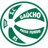 لوگوی Gaucho Passo Fundo