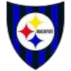 لوگوی Huachipato