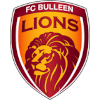لوگوی Bulleen Lions