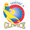 لوگوی Sosnica Gliwice (Women)
