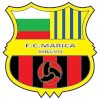 لوگوی Marica Milevo