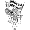 لوگوی Andelfingen
