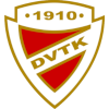 لوگوی DVTK Jegesmedvek Miskolc