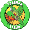 لوگوی Truenos de Talca
