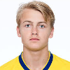 تصویر Oskar Fallenius
