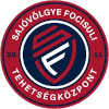 لوگوی OZD-Sayovolgi