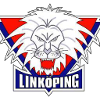 لوگوی Linkopings (Women)