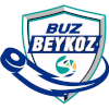 لوگوی Buz Beykoz