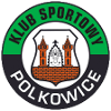 لوگوی Gornik Polkowice