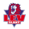 لوگوی Lev Slany