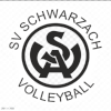 لوگوی Pilkington Schwarzach