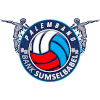 لوگوی Palembang Bank Sumsel Babel