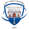 لوگوی Tricolorul Breaza