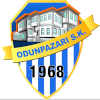 لوگوی Odunpazari GSK (Women)
