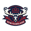 لوگوی Newfoundland Regiment