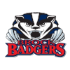 لوگوی Brock Badgers