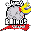 لوگوی Black Rhinos